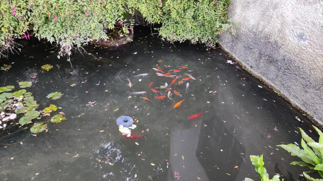 ThiviersLa Fontaine Du Mas住宿加早餐旅馆 外观 照片